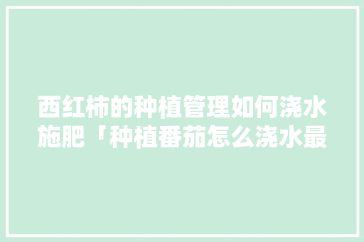 西红柿的种植管理如何浇水施肥「种植番茄怎么浇水最好」 西红柿的种植管理如何浇水施肥「种植番茄怎么浇水最好」 土壤施肥