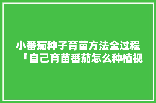小番茄种子育苗方法全过程「自己育苗番茄怎么种植视频」 小番茄种子育苗方法全过程「自己育苗番茄怎么种植视频」 番茄种植技巧
