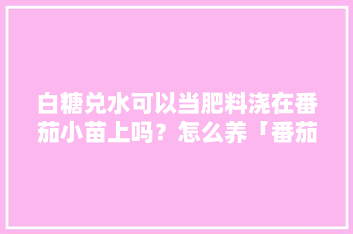 白糖兑水可以当肥料浇在番茄小苗上吗？怎么养「番茄种植怎么浇肥料视频」 白糖兑水可以当肥料浇在番茄小苗上吗？怎么养「番茄种植怎么浇肥料视频」 番茄种植技巧