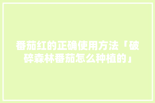 番茄红的正确使用方法「破碎森林番茄怎么种植的」 番茄红的正确使用方法「破碎森林番茄怎么种植的」 花朵知识