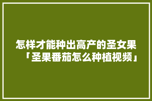 怎样才能种出高产的圣女果「圣果番茄怎么种植视频」 土壤施肥 怎样才能种出高产的圣女果「圣果番茄怎么种植视频」 怎样才能种出高产的圣女果「圣果番茄怎么种植视频」 土壤施肥
