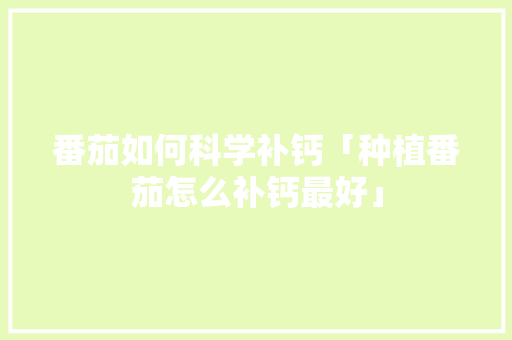番茄如何科学补钙「种植番茄怎么补钙最好」 番茄如何科学补钙「种植番茄怎么补钙最好」 植物种类