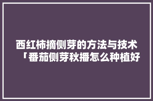 西红柿摘侧芽的方法与技术「番茄侧芽秋播怎么种植好呢」 西红柿摘侧芽的方法与技术「番茄侧芽秋播怎么种植好呢」 种植技巧