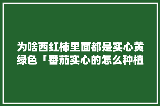 为啥西红柿里面都是实心黄绿色「番茄实心的怎么种植的」 为啥西红柿里面都是实心黄绿色「番茄实心的怎么种植的」 植物种类