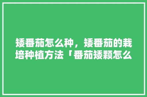 矮番茄怎么种，矮番茄的栽培种植方法「番茄矮颗怎么种植视频」 矮番茄怎么种，矮番茄的栽培种植方法「番茄矮颗怎么种植视频」 花朵知识