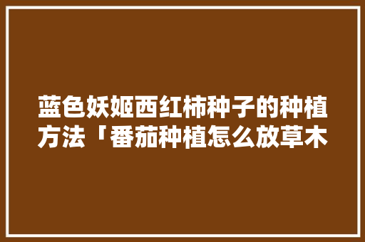 蓝色妖姬西红柿种子的种植方法「番茄种植怎么放草木灰」 蓝色妖姬西红柿种子的种植方法「番茄种植怎么放草木灰」 花朵知识