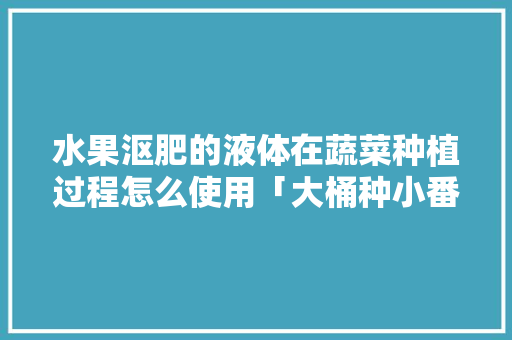 水果沤肥的液体在蔬菜种植过程怎么使用「大桶种小番茄怎么种植的」 水果沤肥的液体在蔬菜种植过程怎么使用「大桶种小番茄怎么种植的」 番茄病虫害防治