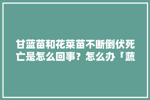 甘蓝苗和花菜苗不断倒伏死亡是怎么回事?怎么办「蔬菜种植防倒伏技巧视频」 番茄种植技巧 甘蓝苗和花菜苗不断倒伏死亡是怎么回事?怎么办「蔬菜种植防倒伏技巧视频」 甘蓝苗和花菜苗不断倒伏死亡是怎么回事?怎么办「蔬菜种植防倒伏技巧视频」 番茄种植技巧