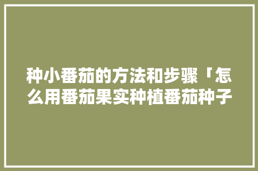 种小番茄的方法和步骤「怎么用番茄果实种植番茄种子」 种小番茄的方法和步骤「怎么用番茄果实种植番茄种子」 番茄病虫害防治