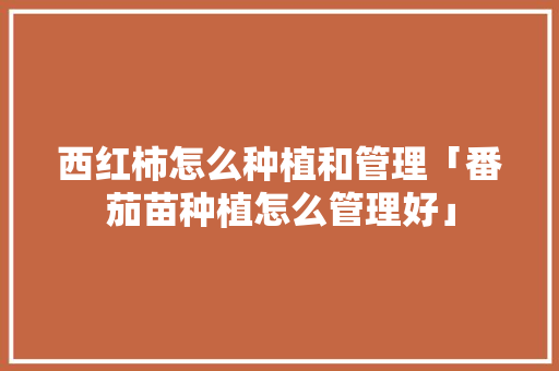 西红柿怎么种植和管理「番茄苗种植怎么管理好」 西红柿怎么种植和管理「番茄苗种植怎么管理好」 番茄病虫害防治