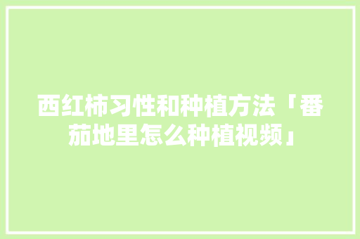 西红柿习性和种植方法「番茄地里怎么种植视频」 西红柿习性和种植方法「番茄地里怎么种植视频」 番茄病虫害防治