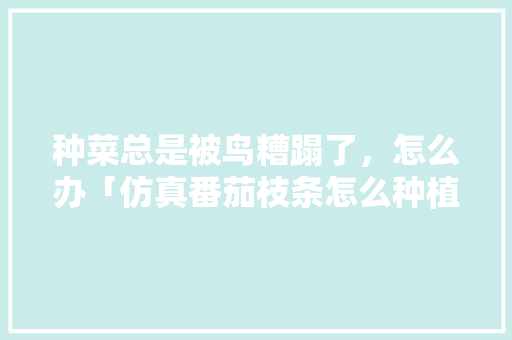 种菜总是被鸟糟蹋了，怎么办「仿真番茄枝条怎么种植视频」 种菜总是被鸟糟蹋了，怎么办「仿真番茄枝条怎么种植视频」 植物种类