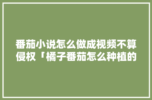 番茄小说怎么做成视频不算侵权「橘子番茄怎么种植的视频教程」 番茄小说怎么做成视频不算侵权「橘子番茄怎么种植的视频教程」 花朵知识