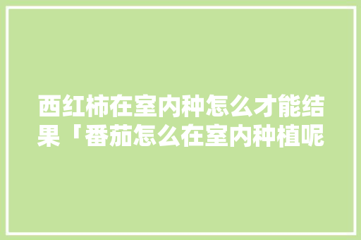 西红柿在室内种怎么才能结果「番茄怎么在室内种植呢」 西红柿在室内种怎么才能结果「番茄怎么在室内种植呢」 番茄病虫害防治