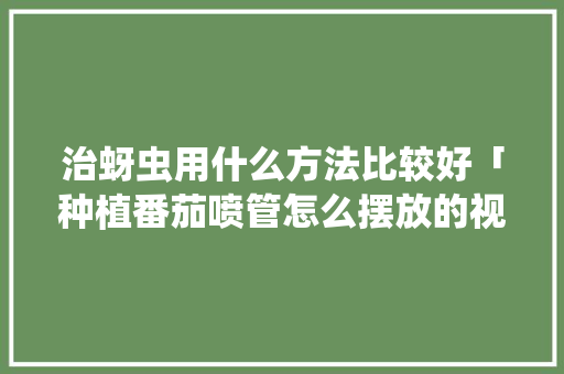 治蚜虫用什么方法比较好「种植番茄喷管怎么摆放的视频」 治蚜虫用什么方法比较好「种植番茄喷管怎么摆放的视频」 植物种类