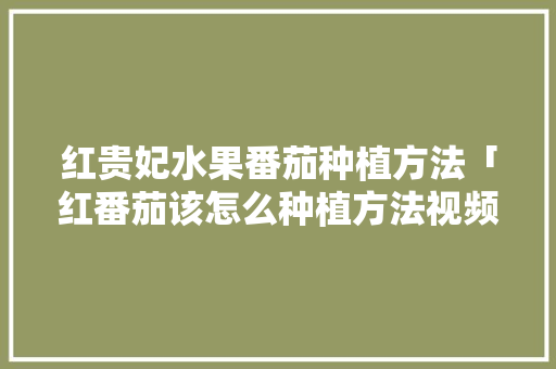红贵妃水果番茄种植方法「红番茄该怎么种植方法视频」 红贵妃水果番茄种植方法「红番茄该怎么种植方法视频」 土壤施肥