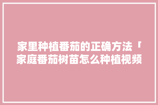 家里种植番茄的正确方法「家庭番茄树苗怎么种植视频」 家里种植番茄的正确方法「家庭番茄树苗怎么种植视频」 种植技巧