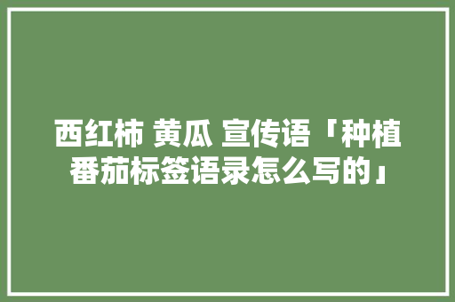 西红柿 黄瓜 宣传语「种植番茄标签语录怎么写的」