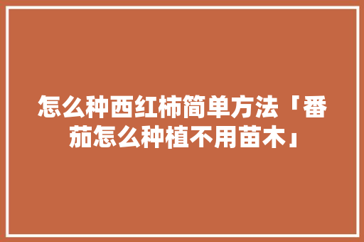 怎么种西红柿简单方法「番茄怎么种植不用苗木」 怎么种西红柿简单方法「番茄怎么种植不用苗木」 种植技巧