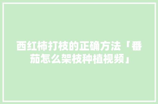 西红柿打枝的正确方法「番茄怎么架枝种植视频」 西红柿打枝的正确方法「番茄怎么架枝种植视频」 种植技巧