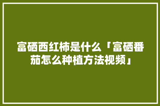 富硒西红柿是什么「富硒番茄怎么种植方法视频」