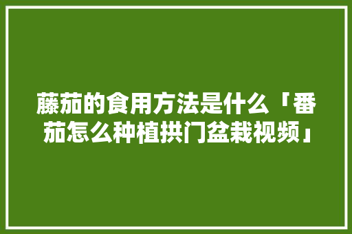 藤茄的食用方法是什么「番茄怎么种植拱门盆栽视频」 藤茄的食用方法是什么「番茄怎么种植拱门盆栽视频」 植物种类