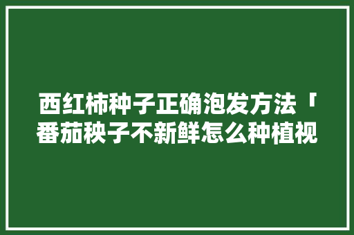 西红柿种子正确泡发方法「番茄秧子不新鲜怎么种植视频」 西红柿种子正确泡发方法「番茄秧子不新鲜怎么种植视频」 植物种类