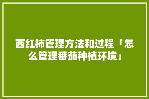 西红柿管理方法和过程「怎么管理番茄种植环境」 西红柿管理方法和过程「怎么管理番茄种植环境」 土壤施肥