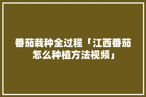 番茄栽种全过程「江西番茄怎么种植方法视频」 番茄栽种全过程「江西番茄怎么种植方法视频」 植物种类