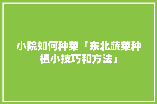 小院如何种菜「东北蔬菜种植小技巧和方法」 小院如何种菜「东北蔬菜种植小技巧和方法」 番茄病虫害防治