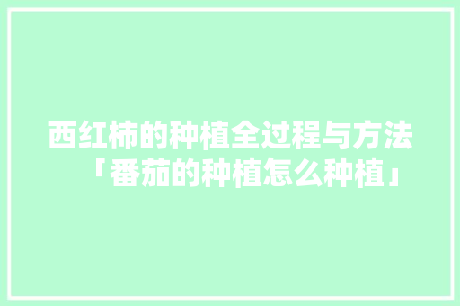 西红柿的种植全过程与方法「番茄的种植怎么种植」 西红柿的种植全过程与方法「番茄的种植怎么种植」 番茄种植技巧