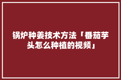锅炉种姜技术方法「番茄芋头怎么种植的视频」 锅炉种姜技术方法「番茄芋头怎么种植的视频」 番茄种植技巧