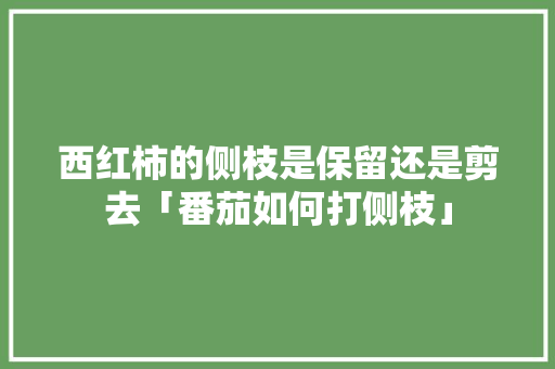 西红柿的侧枝是保留还是剪去「番茄如何打侧枝」 西红柿的侧枝是保留还是剪去「番茄如何打侧枝」 种植技巧