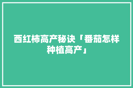 西红柿高产秘诀「番茄怎样种植高产」 西红柿高产秘诀「番茄怎样种植高产」 植物种类
