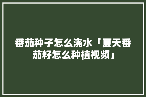 番茄种子怎么浇水「夏天番茄籽怎么种植视频」 番茄种子怎么浇水「夏天番茄籽怎么种植视频」 植物种类
