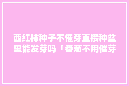 西红柿种子不催芽直接种盆里能发芽吗「番茄不用催芽吗怎么种植视频」 西红柿种子不催芽直接种盆里能发芽吗「番茄不用催芽吗怎么种植视频」 种植技巧