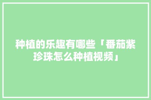 种植的乐趣有哪些「番茄紫珍珠怎么种植视频」 种植的乐趣有哪些「番茄紫珍珠怎么种植视频」 农业常识