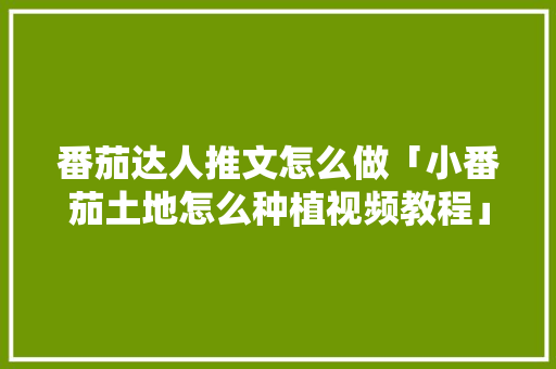 番茄达人推文怎么做「小番茄土地怎么种植视频教程」