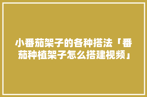 小番茄架子的各种搭法「番茄种植架子怎么搭建视频」 小番茄架子的各种搭法「番茄种植架子怎么搭建视频」 种植技巧