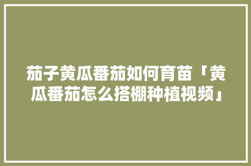 茄子黄瓜番茄如何育苗「黄瓜番茄怎么搭棚种植视频」 茄子黄瓜番茄如何育苗「黄瓜番茄怎么搭棚种植视频」 花朵知识