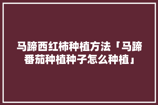 马蹄西红柿种植方法「马蹄番茄种植种子怎么种植」 花朵知识 马蹄西红柿种植方法「马蹄番茄种植种子怎么种植」 马蹄西红柿种植方法「马蹄番茄种植种子怎么种植」 花朵知识