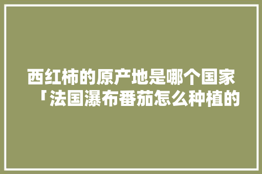 西红柿的原产地是哪个国家「法国瀑布番茄怎么种植的」 西红柿的原产地是哪个国家「法国瀑布番茄怎么种植的」 植物种类