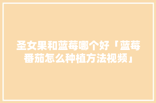圣女果和蓝莓哪个好「蓝莓番茄怎么种植方法视频」 圣女果和蓝莓哪个好「蓝莓番茄怎么种植方法视频」 农业常识
