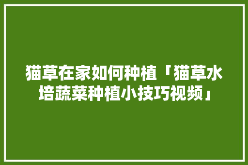 猫草在家如何种植「猫草水培蔬菜种植小技巧视频」 猫草在家如何种植「猫草水培蔬菜种植小技巧视频」 番茄病虫害防治