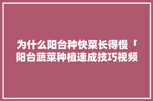 为什么阳台种快菜长得慢「阳台蔬菜种植速成技巧视频」 为什么阳台种快菜长得慢「阳台蔬菜种植速成技巧视频」 番茄病虫害防治