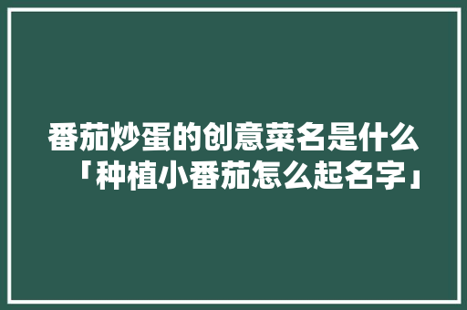 番茄炒蛋的创意菜名是什么「种植小番茄怎么起名字」 番茄炒蛋的创意菜名是什么「种植小番茄怎么起名字」 番茄病虫害防治