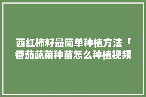 西红柿籽最简单种植方法「番茄蔬菜种苗怎么种植视频」 西红柿籽最简单种植方法「番茄蔬菜种苗怎么种植视频」 植物种类