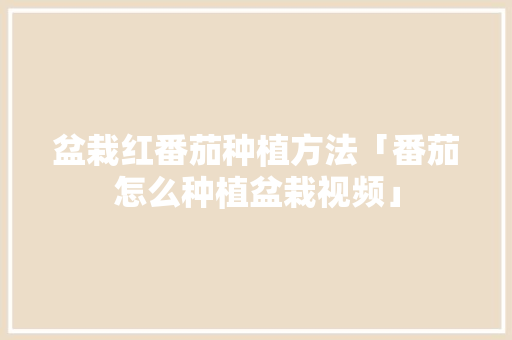 盆栽红番茄种植方法「番茄怎么种植盆栽视频」 盆栽红番茄种植方法「番茄怎么种植盆栽视频」 番茄种植技巧