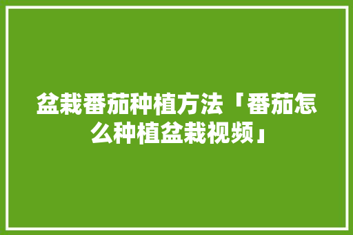 盆栽番茄种植方法「番茄怎么种植盆栽视频」 盆栽番茄种植方法「番茄怎么种植盆栽视频」 植物种类
