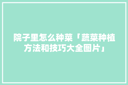 院子里怎么种菜「蔬菜种植方法和技巧大全图片」 院子里怎么种菜「蔬菜种植方法和技巧大全图片」 番茄种植技巧